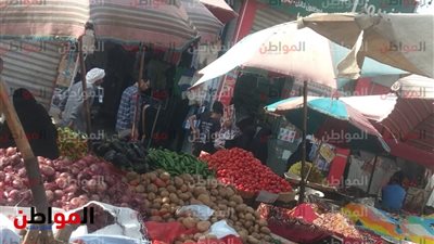 الطماطم بـ10 جنيه.. ارتفاع مفاجئ في أسعار الخضروات والفاكهة في أسواق المرج