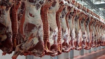 انخفاض في أسعار اللحوم اليوم بأسواق فزارة.. 290 جنيها للكيلو