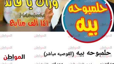 كشف حقيقة صفحة حلمبوحه بيه المثيرة للفتنة في القوصية