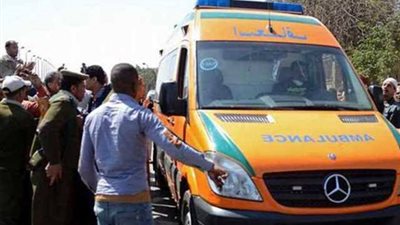 القبض على المتهم بقتل صديقه في غرب سمالوط بالمنيا