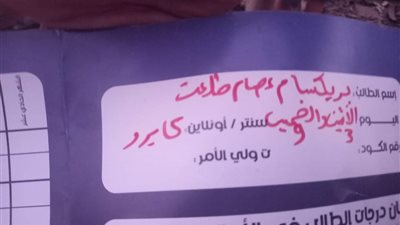 شهيدة الثانوية العامة في الإسكندرية.. 