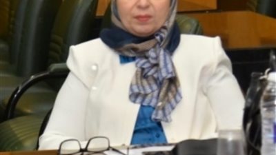 المنشاوى يهنئ الدكتورة تيسير حسن لتعيينها عميداً لكلية الحاسبات والمعلومات 