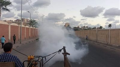 بسبب ارتفاع درجات الحرارة.. الإسكندرية تقود حملات رش البعوض