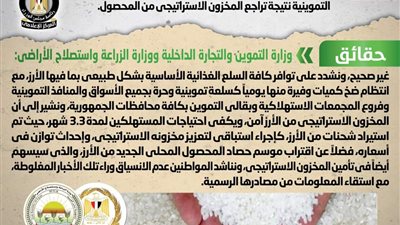 الحكومة تنفي شائعة وجود عجز في الكميات المعروضة من الأرز بالأسواق 
