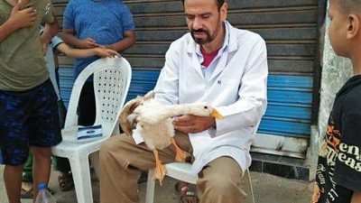 جامعة الزقازيق توجه قافلة بيطرية لقرية حسن بيه مركز بلبيس بالشرقية