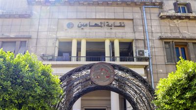 نقابة محامين أسوان تنفي ما نشرته إحدى القنوات العربية بوجود إضراب بمحكمة كوم أمبو الجزئية