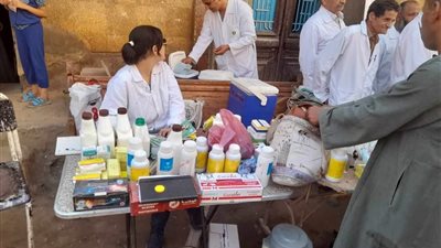 تقديم خدمات بيطرية مجانية لـ 1543 ماشية بقرية نزلة النخل بأبوقرقاص