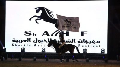 نائب رئيس جامعة الزقازيق يشهد افتتاح مهرجان الخيول العربية الأصيلة 