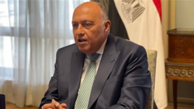 سامح شكري