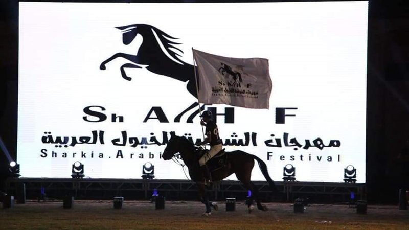 مهرجان الشرقية للخيول