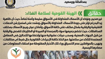 الحكومة تنفي تداول أسماك نافقة بالأسواق إثر ظاهرة زبد البحر ببورسعيد