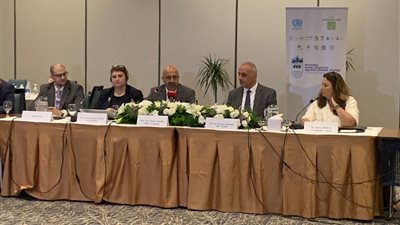 برنامج الأمم المتحدة للمستوطنات البشرية: الاجتماع الثاني للجنة التوجيهية الإقليمية 