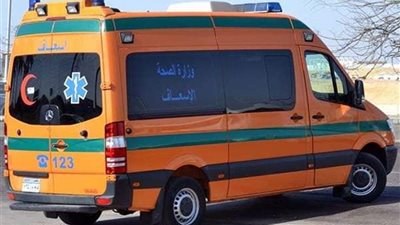 مصرع 3 أشخاص داخل ورشة لإصلاح السيارات بالجيزة
