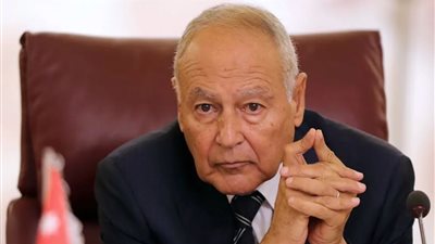 عاجل.. أبو الغيط يدعو لوقف العمليات العسكرية في غزة 