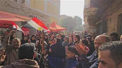 الأعلى للقبائل العربية: نسبة المشاركة في مراكز جنوب محافظة الجيزة تخطت الـ 50% حتى ظهر اليوم الثالث 