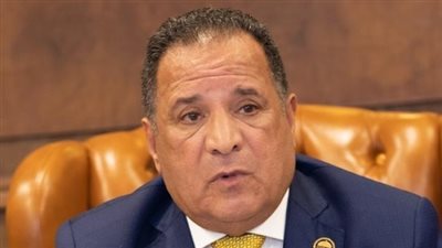 أبو هميلة يشيد بالتجربة الديمقراطية للانتخابات الرئاسية ويهنئ فخامة الرئيس السيسي بفوزه