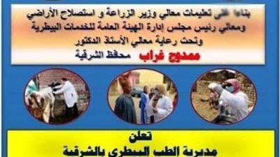 السبت القادم.. بدء انطلاق الحملة القومية لتحصين الماشية ضد مرضى الجلد العقدي وجدري الأغنام في الشرقية
