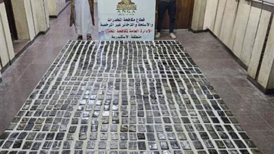 ضبط عنصرين إجراميين حاولا ترويج 750 طربة لمخدر الحشيش بالإسكندرية