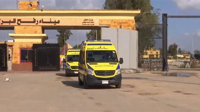 للعلاج بمصر.. ميناء رفح البري يستقبل 37 مصاب من مستشفيات قطاع غزة