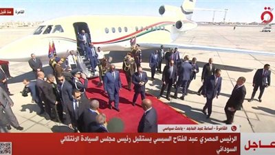  السيسي يستقبل رئيس مجلس السيادة السوداني في مطار القاهرة الدولي