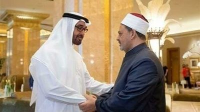 رئيس الإمارات وشيخ الأزهر يؤكِّدان ضرورة وصول المساعدات إلى قطاع غزة