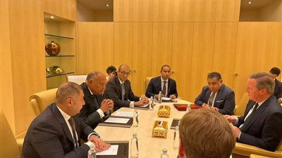 وزير الخارجية سامح شكري يلتقي نظيره البريطاني على هامش اجتماعات المنتدى الاقتصادي العالمي 