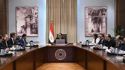 رئيس الوزراء يلتقي الرئيس التنفيذي لشركة 