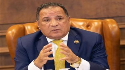 أبو هميلة: زيارة الرئيس السيسي لتركيا يعزز الشراكة الاستراتيجية بين الدولتين ويزيد حجم الاستثمارات