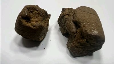 جمارك مطار الغردقة الدولى تضبط كمية من مخدر الحشيش 