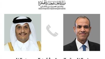وزير الخارجية والهجرة يجري اتصالاً مع رئيس الوزراء ووزير خارجية قطر