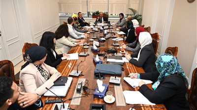 نائب رئيس مجلس الوزراء للتنمية الصناعية وزير الصناعة والنقل يبحث مع الممثل الإقليمي لمنظمة اليونيدو في مصر برامج المنظمة والموقف الحالي لمشروعاتها في السوق المصري