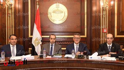 صور .. «حقوق الانسان» تجتمع بالمنظمات الحقوقية للمناقشة حول المراجعة الدورية الشاملة UPR