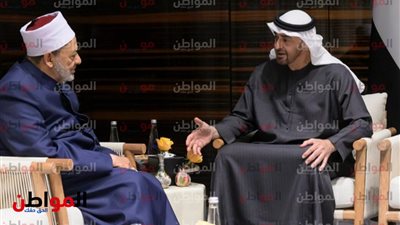 صور .. «شيخ الأزهر» يلتقي الشيخ محمد بن زايد في «أذربيجان»