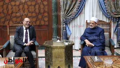 صور .. «شيخ الأزهر» يستقبل وزير العمل لبحث سبل التعاون المشترك
