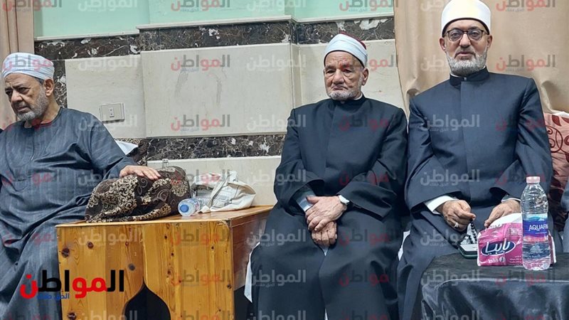 حسن الشافعي , ونظير