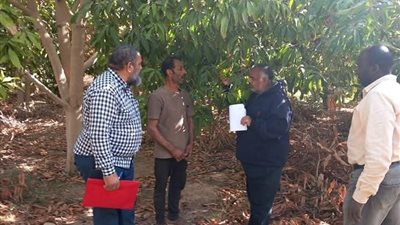 قوافل زراعية تجوب وديان مدينة نويبع 