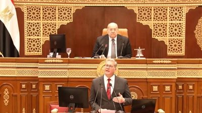 وزير البترول أمام مجلس الشيوخ مشروع قانون جديد لتحويل هيئة الثروة المعدنية إلى هيئة اقتصادية 