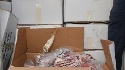محافظ الشرقية يشهد إستلام وتسلم 2 طن لحوم من مشروع لحوم الأضاحي لتوزيعها على الأسر الأولى بالرعاية بالمحافظة 