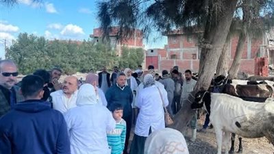 انطلاق قوافل طبية ومشاريع للتحسين الوراثي لسلالات الماشية بالشرقية 