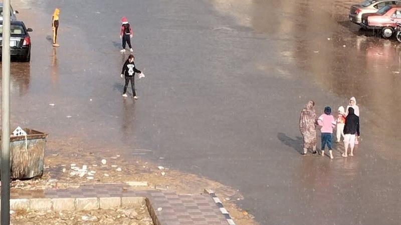 المواطن