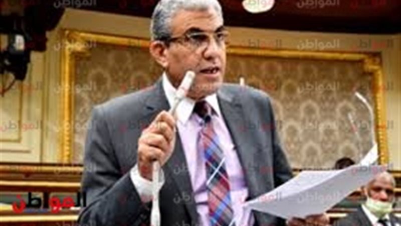 عادل عبد الفضيل