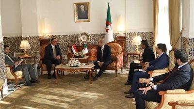 سفير مصر في الجزائر يلتقي برئيس المحكمة الدستورية الجزائرية 