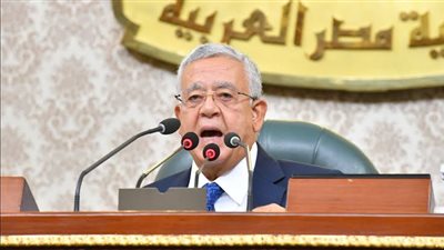 وافق مجلس النواب، برئاسة المستشار الدكتور حنفي جبالي، على 4 قرارات بشأن موقف المجلس من رفض تهجير الفلسطينين