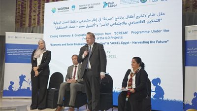 منظمة العمل الدولية  تختتم فعاليات مشروع 