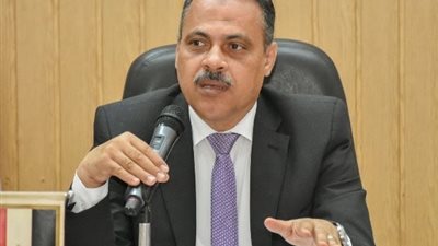 ضبط طن و281 كيلو مصنعات دواجن غير صالحة للإستهلاك الآدمي بمدينة بلبيس
