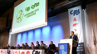 أوزبكستان تكشف عن الشعار الرسمي  لمؤتمر الأطراف  (COP20) لاتفاقية التجارة الدولية في الأنواع المهددة بالانقراض من الحيوانات والنباتات البرية فى سمرقند