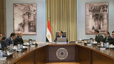 رئيس الوزراء : إجمالي قيمة تعويضات 