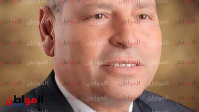تعيين اللواء هشام الجمال العمل رئيسًا لمجلس إدارة مشروع الحدائق المتخصصة