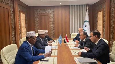 وزير الخارجية والهجرة يعقد لقاءً مع نظيره الصومالي على هامش الاجتماع الاستثنائي لمنظمة التعاون الإسلامي