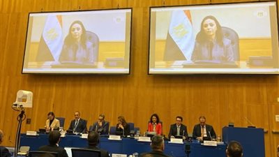 الأمم المتحدة تختار مصر أول دولة على مستوى العالم لتطبيق مبادرة لتعزيز أنظمة الوقاية الموجهة للأطفال حتى سن  18 عاما 